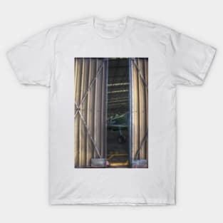 Glimpse T-Shirt